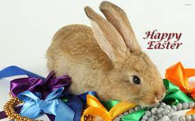 If you have your own one, just create an account on the website and upload a picture. Easter Bunny 4 Wallpaper Holiday Wallpapers 11991