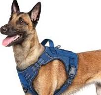 rabbitgoo Peitoral tático para cães grandes, colete de serviço militar sem  puxão, com tiras refletivas e alça de controle fácil para corrida, ...