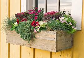 How To Master The Fall Landscape Season Window Box Window Planter Boxes Flower Boxes