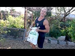 Azomite is a type of rock dust. Azomite Rock Dust In My Garden Edible Trees Youtube