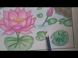 How To Draw Lotus Pond Colour Pencil Shading For Kids Easy Drawing For Kids Youtube In 2020 Colour Pencil Shading Easy Drawings Easy Drawings For Beginners