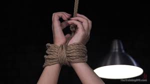 Harley Jade porn to die for • fluffy Lychees