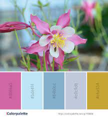 Color Palette Ideas From 8838 Flower Images Icolorpalette Color Pallets Flower Images Color Palette