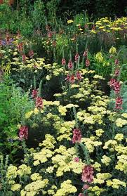 Pin By Sonia Picanco On Gardening Summer Plants Garden Inspiration Beautiful Gardens