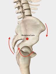 To put it plainly, sometimes hip pain comes from the hip, but a lot of times hip pain comes from the back. A Twisted Pelvis Also Called Pelvic Torsion Can Be Corrected