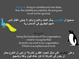 Did you know penguins divorce, fight over each other, and engage in necrophilia? A Peacock In The Land Of Penguins The American Digital Schools In Amman