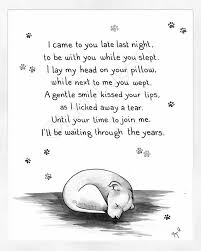 Instagram Dog Poems Dog Loss Quotes Dog Grief