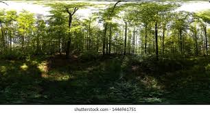 Nature seasons 7k scenery 4k 3d nature 52 hdr nature 854 nature closeup 603. Polish Natural Landscape Hdri Spherical Panorama Stock Photo Edit Now 1446961751
