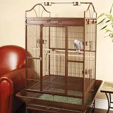 Small birds, such as budgies and parakeets, thrive in a 24 in (61 cm) square cage. You Me Standing Parrot Cage Petco