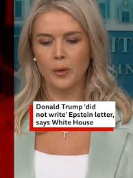 White House Press Secretary Karoline Leavitt said the White House would  allow a handwriting expert to examine the alleged note in Jeffrey Epstein’s  2003 birthday book, which she says was not signed by ...