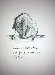 Check spelling or type a new query. Eeyore Quotes Flowers Quotesgram
