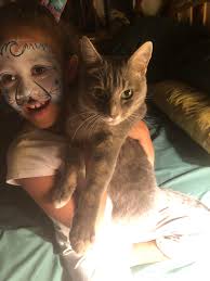 Lost cat near Bitney Springs Road?