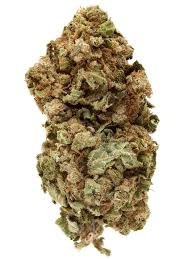 A very sick type of weed with alot of crystals and gets u higher than a motherfucker. 8 Of The Best Haze Strains