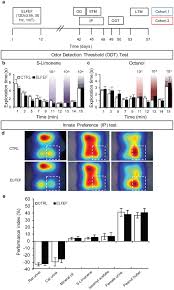 Olfactory memory is enhanced in mice exposed to extremely low-frequency  electromagnetic fields via Wntβ-catenin dependent modulation of  subventricular zone neurogenesis | Scientific Reports