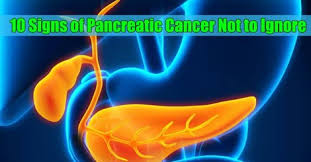 So, if a cancerous tumor develops in the pancreas, you may not notice until it's grown too large. Viralbyts Com Home Facebook