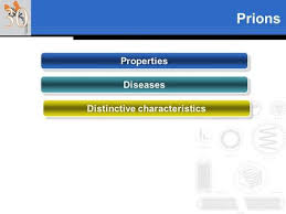 0,00 km) via celoria 11, 20133 milano cartelle, cliniche, poliambulatorio, laboratorio, clinici, carlo, cura, neurologico, ambulatori, besta, medicina, esami, diagnostici, istituto, per, di, laboratori, la, ritiro. Fondazione Irccs Istituto Neurologico Carlo Besta Milano Gerstmann Straussler Scheinker Disease Fabrizio Tagliavini Ppt Download