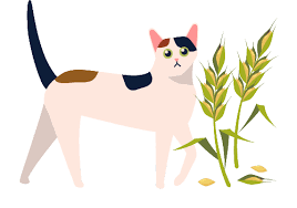 Find out everything you need to know in this video. 12 Best Wet Dry Grain Free Cat Foods Of 2021 We Re All About Cats