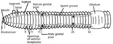 Maybe you would like to learn more about one of these? New Page 1