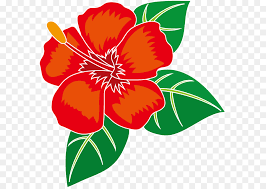 Gambar bunga raya merah dapat saudara dapati disini. Halaman Download 25 Lukisan Gambar Bunga Raya Kartun Rudi Gambar