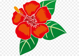 Parti pribumi bersatu malaysia (bersatu) merupakan sebuah parti politik di malaysia yang kini. Lukisan Corak Bunga Raya Cikimm Com