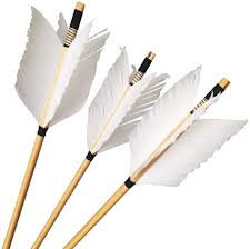 Maybe you would like to learn more about one of these? 4 Panah Kayu Bulu Turki Dengan Ujung Panah Target Empat Anak Panah Kayu Fluze Dengan Selfnock Buy 4 Turki Bulu Kayu Panah Dengan Selfnock Panahan Kayu Panah Dengan Target Menjauh Berburu Panah Berburu