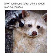 I Think You Re Cute Memes That May Cause Diabetes Album On Imgur