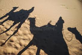 Find the perfect camel sand shadow stock photo. 539 Camel Shadows Photos Free Royalty Free Stock Photos From Dreamstime