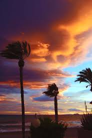 Tormenta De Fuego Playa Del Castellar En Puerto De Mazarron Murcia Espana Podria Parecer Una Foto Tomada En Una Isla En Mitad Landscape Palm Trees Outdoor