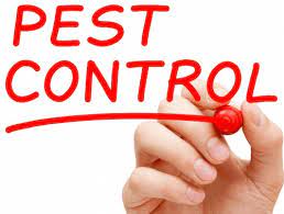 Pests are always unwelcome guests at any place of living. Pest Control Solutions Of Louisiana Bed Bug Exterminators Mosquito Control Rodent Flea Cockroach Treatments Pest Control Solutions Of Louisiana Bed Bug Exterminators Services Mosquito Control Rodent Flea Cockroach Treatments
