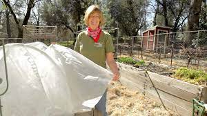 Give your garden a lift with raised beds. Find The Right Floating Row Cover For Your Garden Organic Gardening Blog Grow Organic