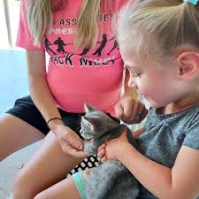 Thank you all for joining us one final time for Painting Palooza! We hope  you had a great time!