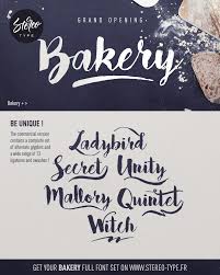 Whether you are a professional graphic designer or an amateur web publisher, fonts are an essential part of your work to create. Bakery Font Free Script Fonts Graphic Design Fonts Handwritten Fonts