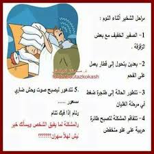 desertrose funny quotes quotes funny