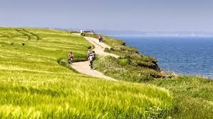 Mit Dem Fahrrad Auf Sylt Tipps Und Tricks
