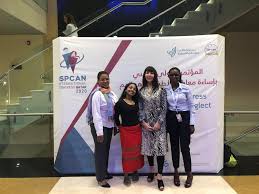 Ni3 Presents at ISPCAN International Conference in Qatar