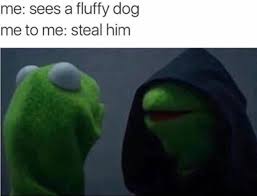 The best also memes and images of march 2021. 40 Evil Kermit The Frog Me To Me Memes