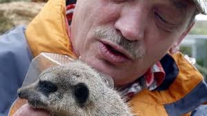 Eisenberg: Erdmännchen-Patenschaft als Geschenk