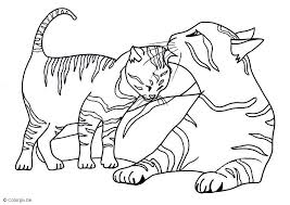Free printable coloring pages kitty cat and frog in umbrella for kids.free kitten cat coloring pages printable. Kitten Coloring Pages Printable Coloring Sheet Anbu Coloring Coloring Home
