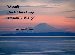 Poet Seers Buddhist Poems Haiku Poetry Japanese Poetry Poems