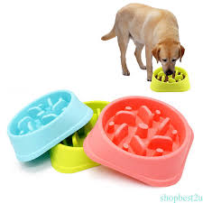 Check spelling or type a new query. Dog Travel Portable Bowls Pet Supplies Home Anti Choke Dog Cat Puzzle Bowl Pet Digestion Pet Slowly Eating Dish Feeder