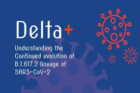 05 /5 the delta variant has further mutated into a new strain, 'delta plus' variant the new delta plus variant or ay.1 variant is characterised by the acquisition of k417n mutation. Highly Transmissible Delta Variant Of Covid Mutates Further To Form Delta Plus Study India Com
