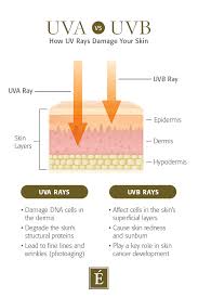 Getting sunburnt increases your cancer risk. How To Treat A Sunburn Eminence Organic Skin Care