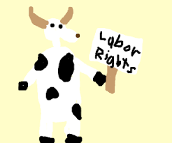 Cows on strike - Drawception