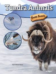 Biome Beasts Tundra Animals Cocca Lisa Colozza 9781731614469 Amazon Com Books