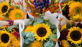 Aptos Farmers Market