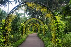 Why is the singapore botanic gardens important? At Singapore Botanic Gardens Free Image Download 351195 Cannypic