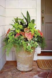 These Hardy Container Gardens Stand Up To Top Temps You Re Doing Your Best To Beat The Heat Container Gardening Flowers Container Gardening Garden Containers