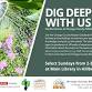 Dig Deeper With Us Gardening Series event image