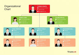 Organizational Software Company Online Charts Collection