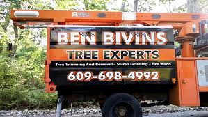 Follow tomsriveronline on facebook, too. Ocean Monmouth County Tree Service Ben Bivins Tree Experts